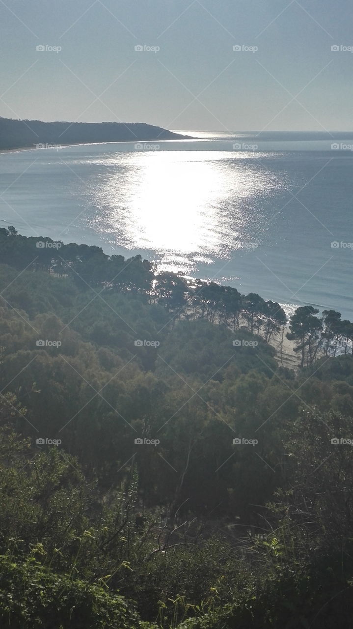 sole riflesso nel mare