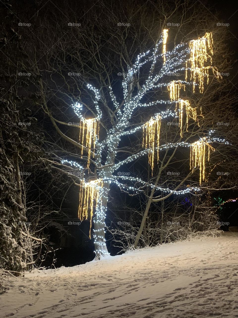 Tree lit up at The Festival of Lights in Niagara Falls, Canada 