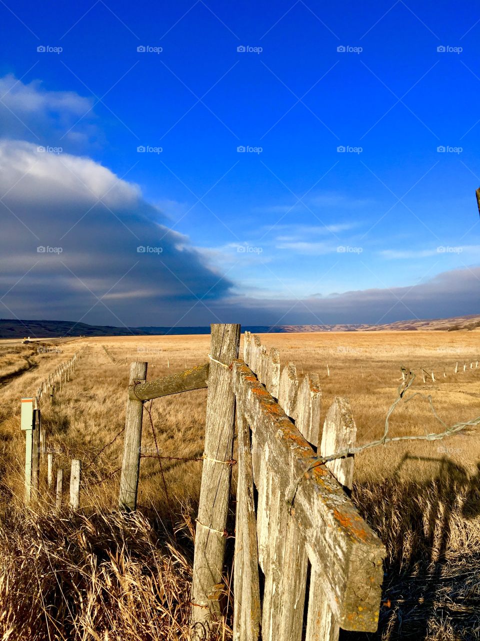 Rural fence line 