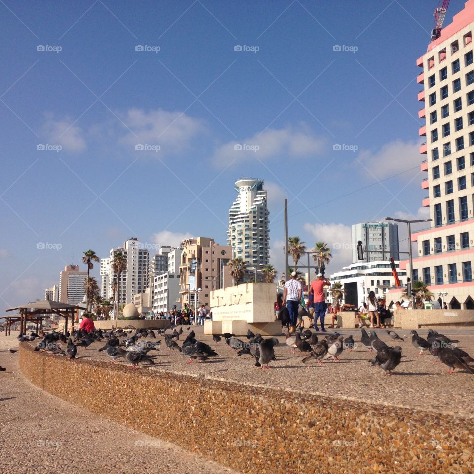 Tel avid Israel 