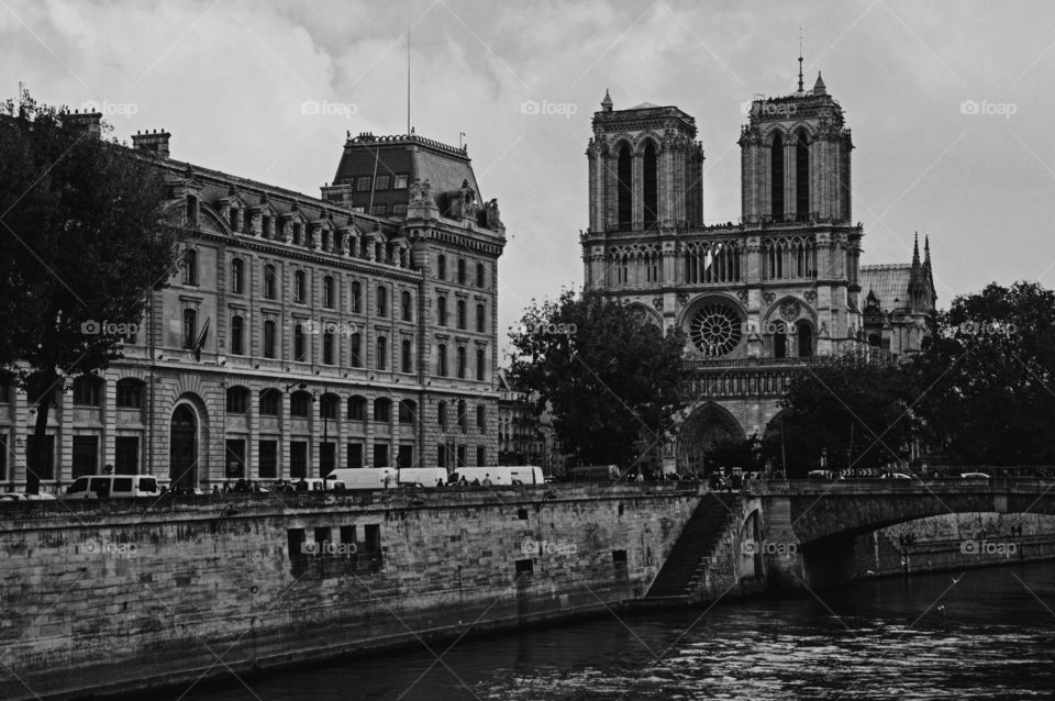 Notre Dame. Paris, France