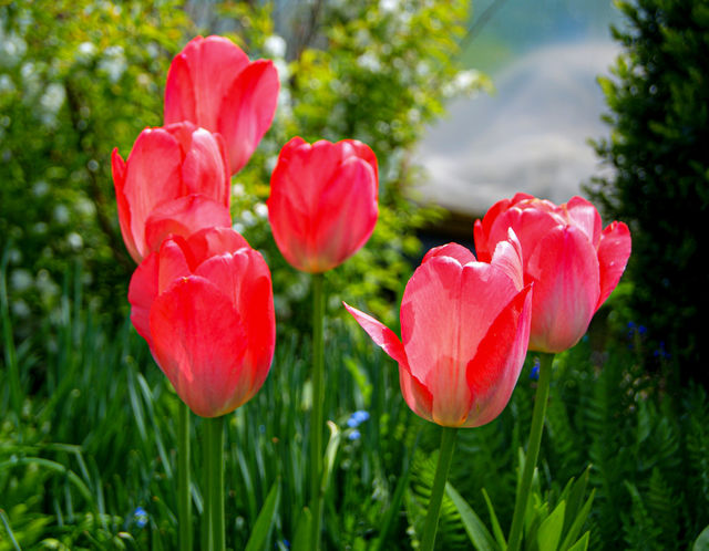 Spring is coming 