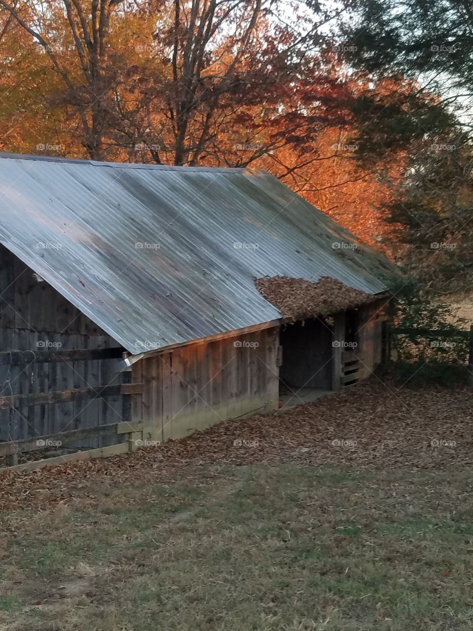 Wood, House, Barn, No Person, Building