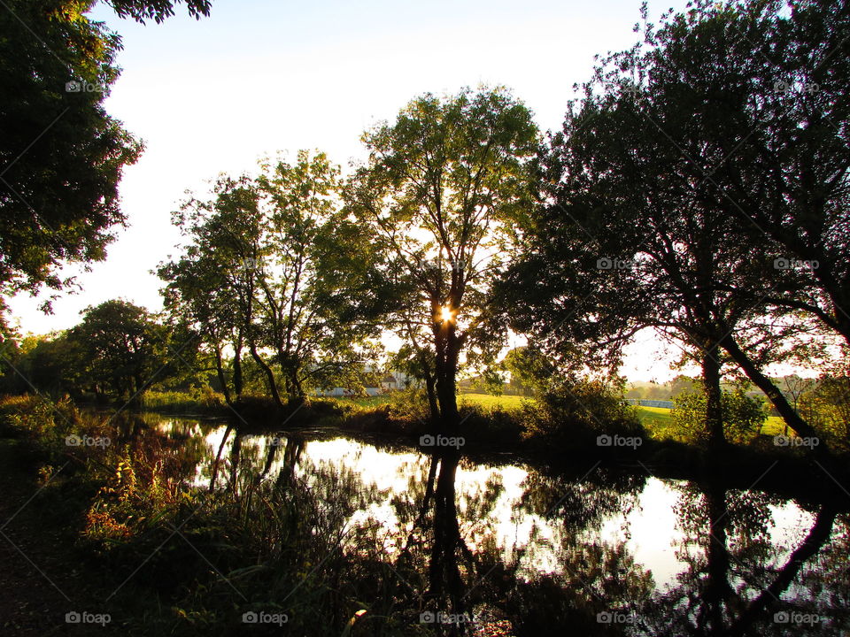 the low autumn sun casts long shadows and reflections in the water