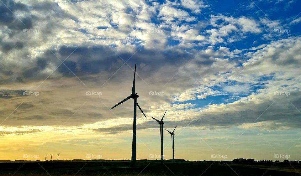 Windmills by evening