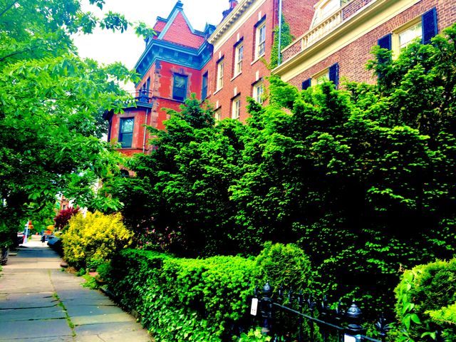 A Forest Gre, Bklyn brownstone around Fulton St with a side tower with colored decorations and a steeple rooftop. Many such buildings are in the area styled as if from a bygone era, 2019. Hypnotic Productions