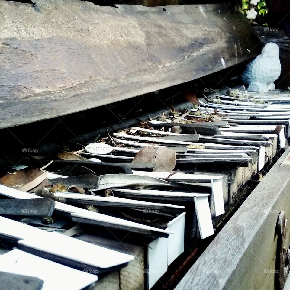 Old Organ left to decay in the Sun