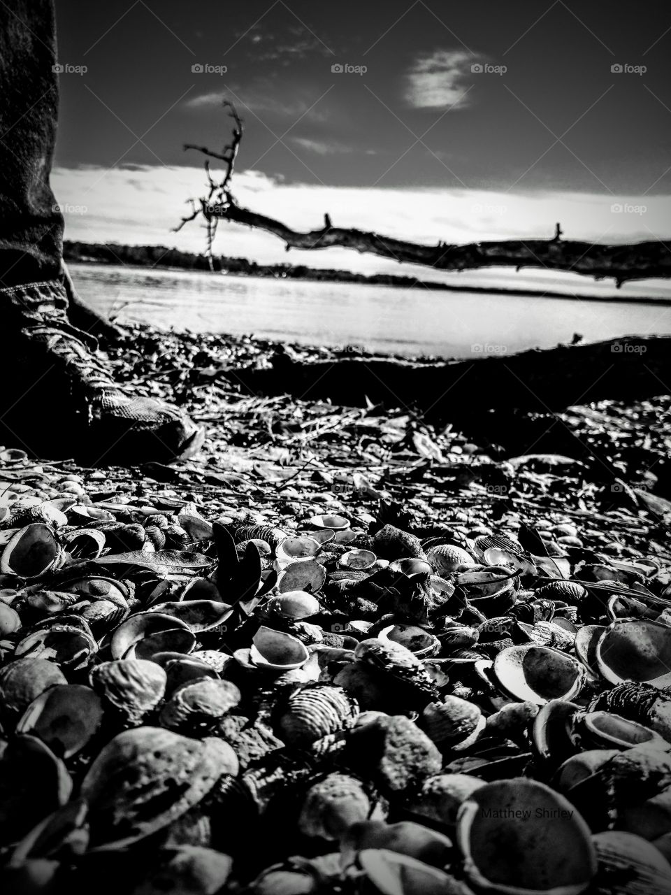 a walk through shell s