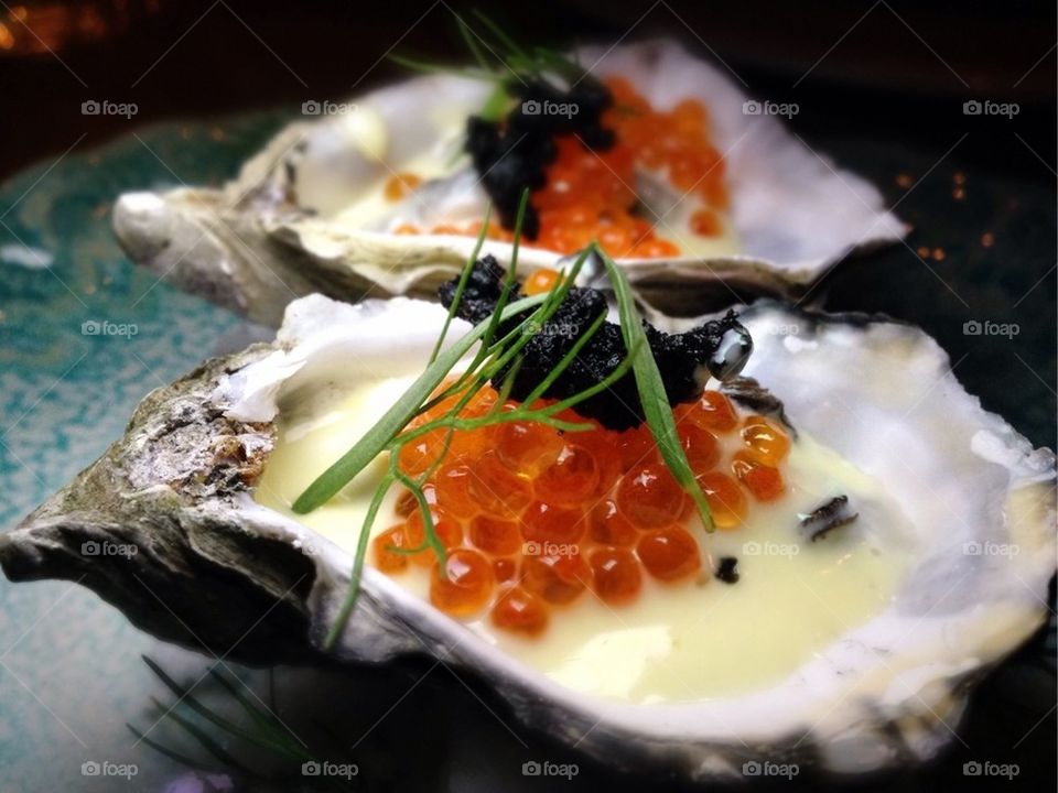 Poached Oysters 