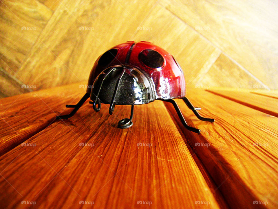 Ladybug walking on a rustic wooden floor.