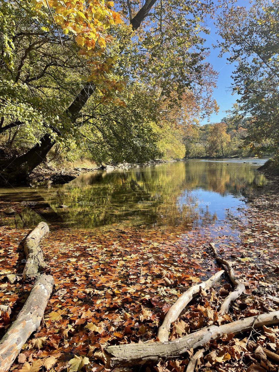Fall down by the river 