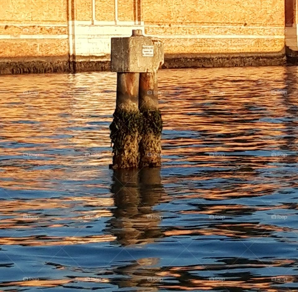 Venise cimetière San Michele