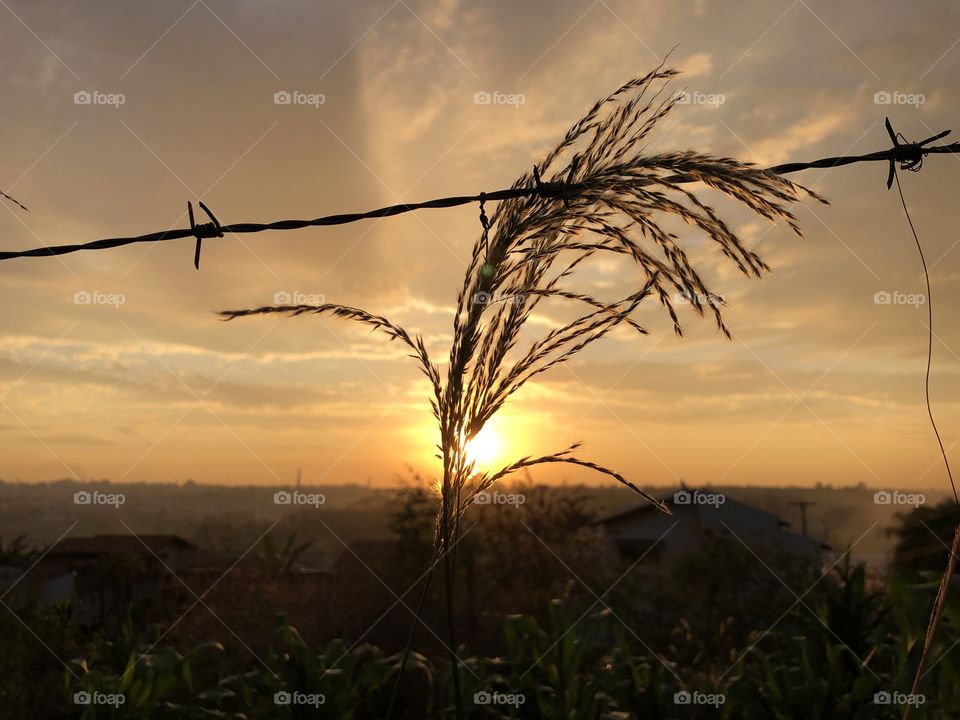 Sun, you can try to hide from me, but your light and colors and beauty and shine give you away! - instead of being bothered by the grass, and the fence, and any obstacles the life gives us, we can join forces and create a new wonder.