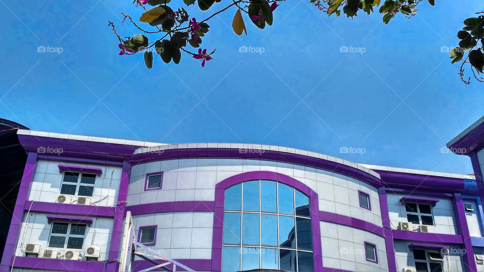 purple university