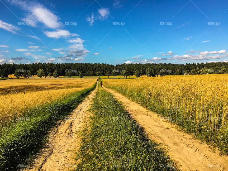 No Person, Landscape, Rural, Nature, Agriculture