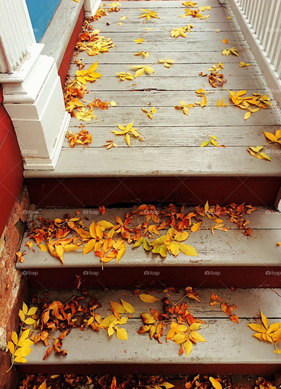Autumn leaves on the stairs