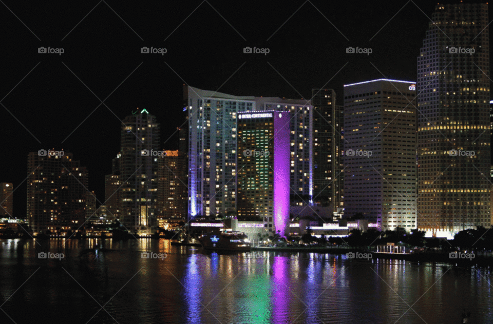 Night Lights of Miami