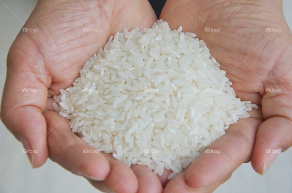 Loving the earth with a conceptual photo with hand palms and a bunch of rice 