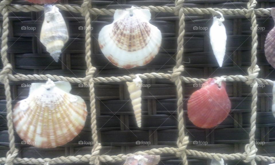 seashells tied to roap with basket weave background