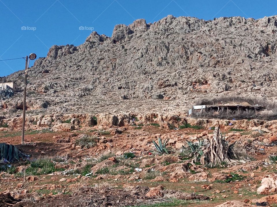 Mountain cattle stable