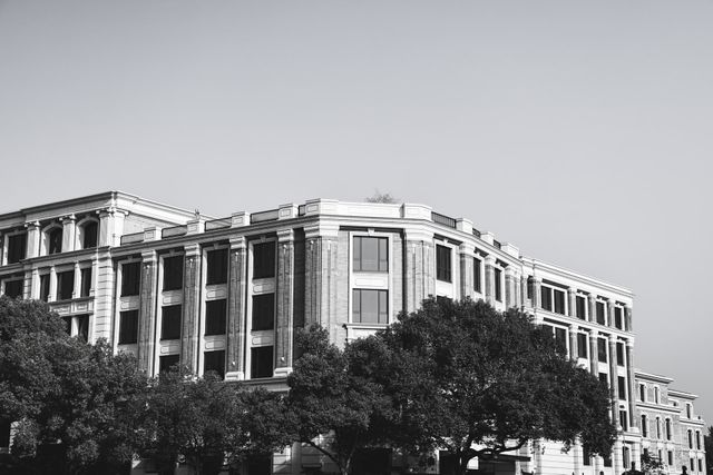 高楼与绿化