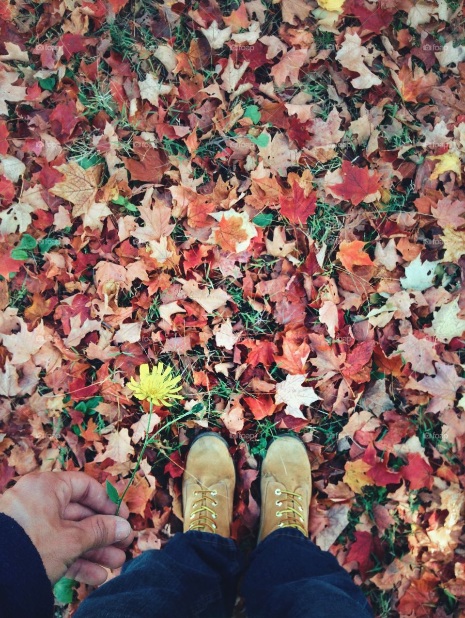 High angle view of a human leg