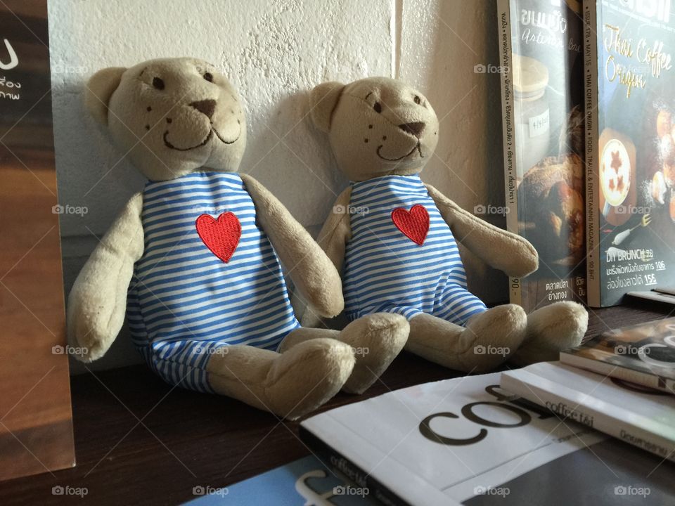 Love bears