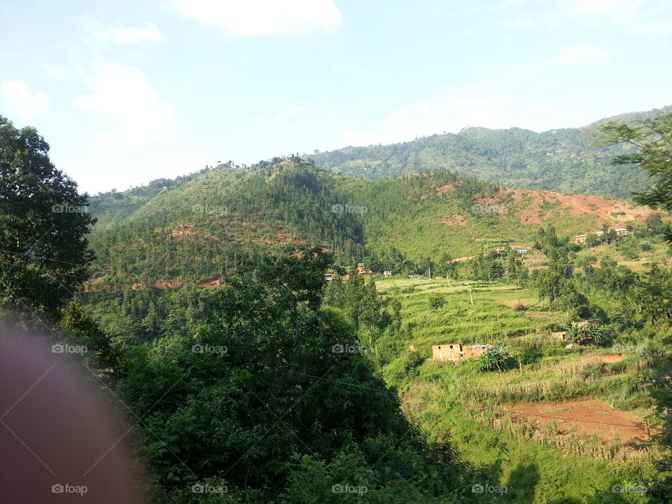 green fields. in Nepal