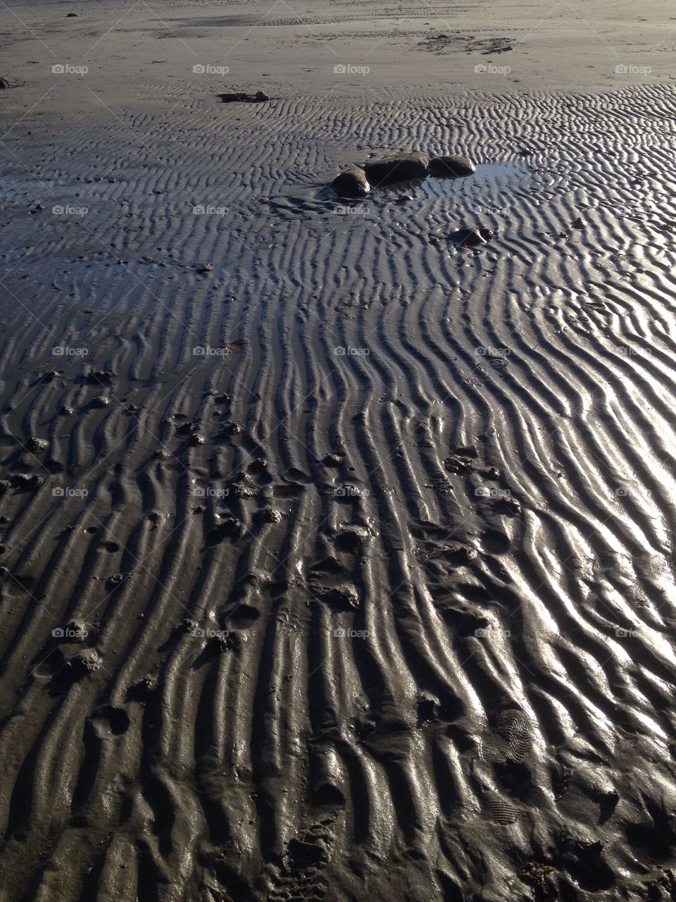 Patterns in the sand