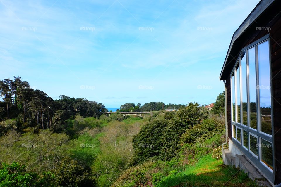 View of forest, bridge and ocean