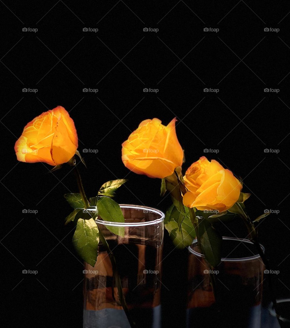 Yellow rose buds in clear vases