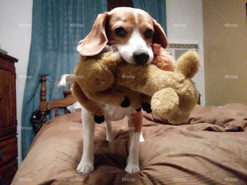 Come play with me ,please!