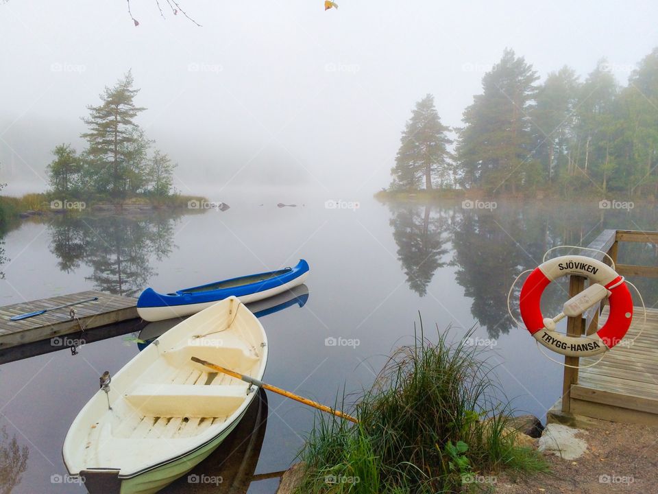 A foggy morning