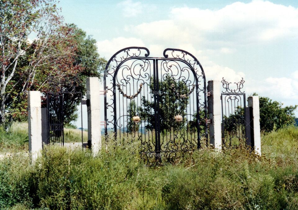 iron gate. ornate iron gate along side of road