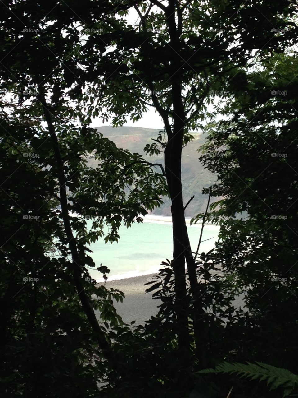 Look carefully and you will see