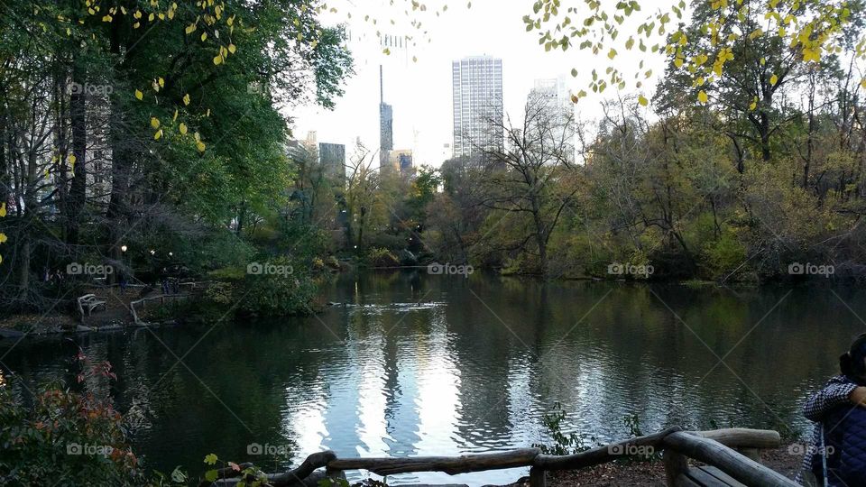 Central Park NYC in November