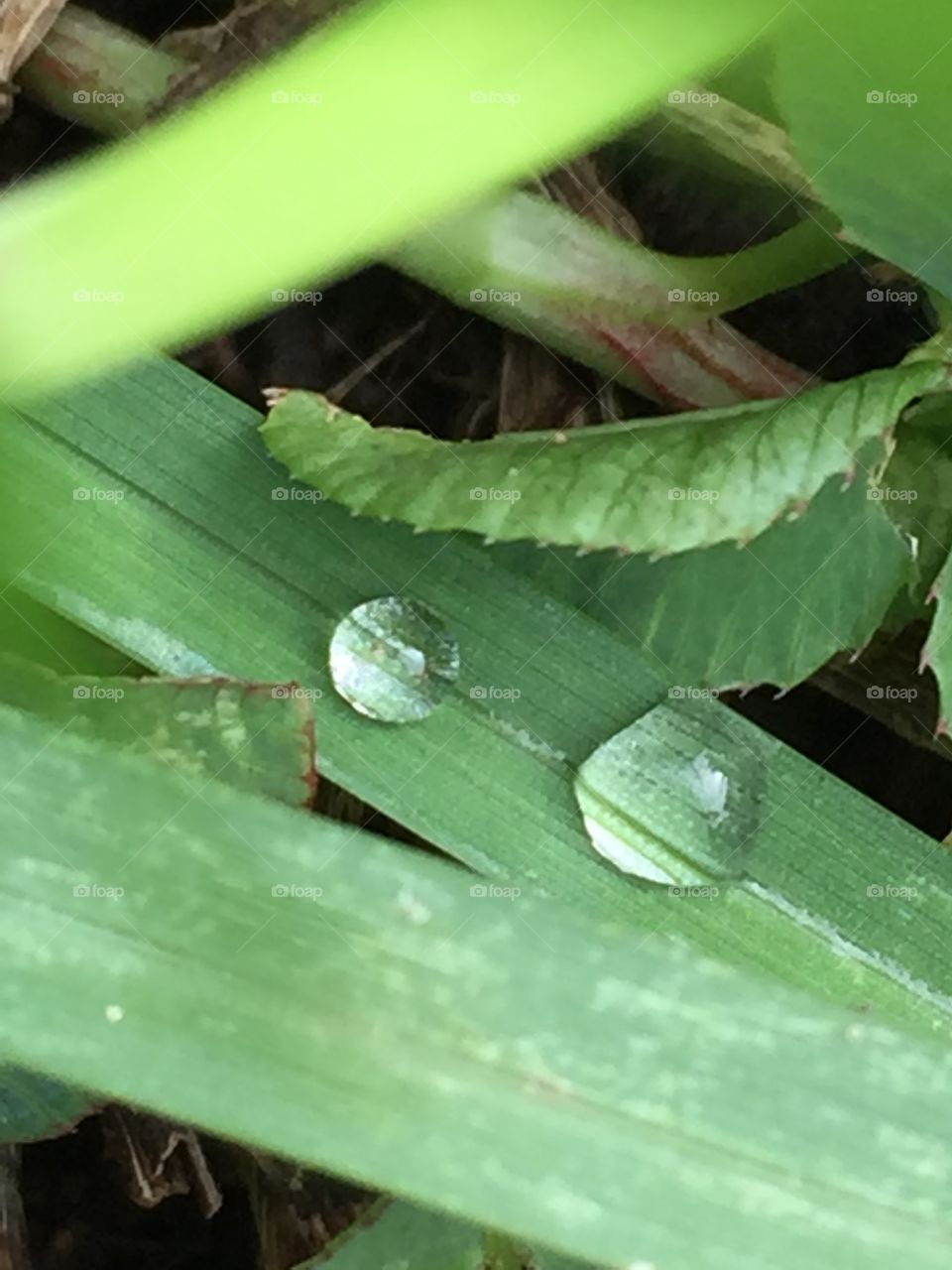 Hidden Drops