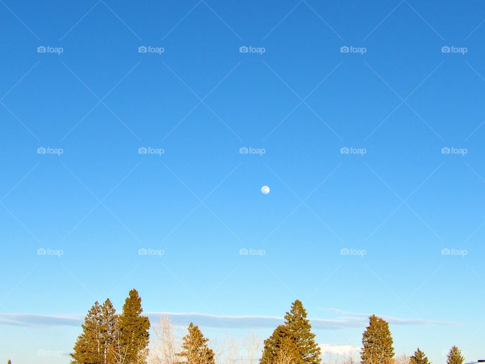Blue Clear Skies with a side of early moon