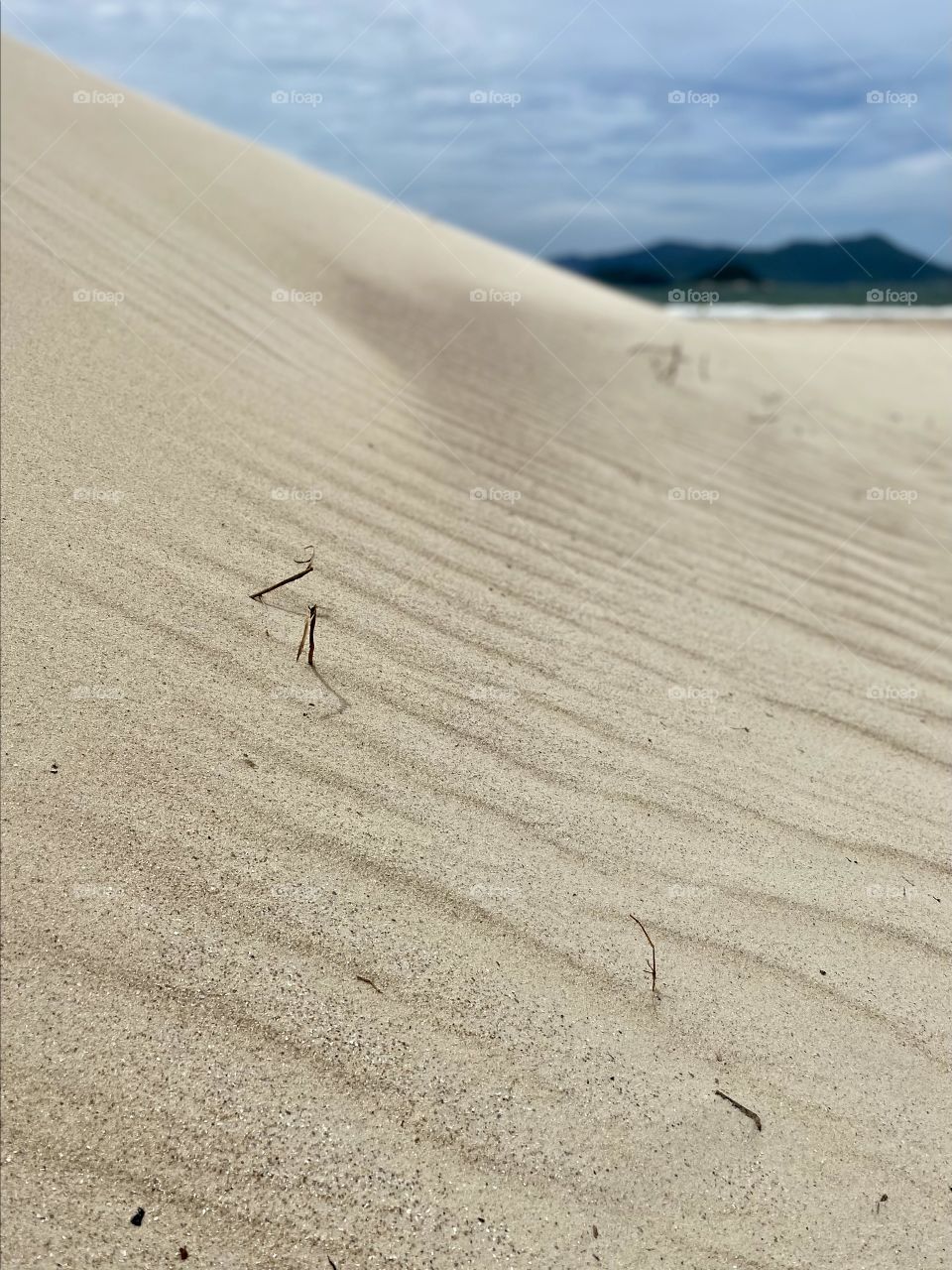 Beach time 