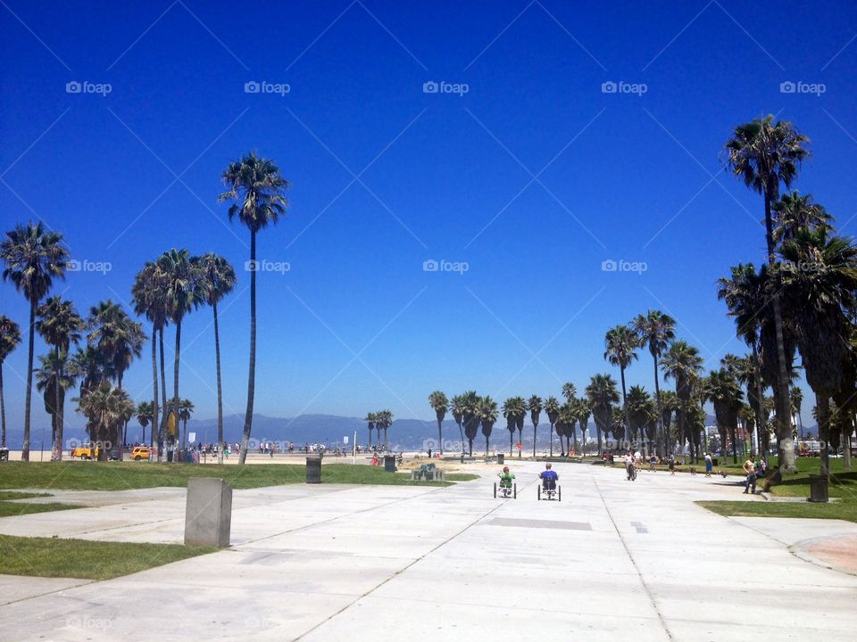 Promenade on famous Venice Beach