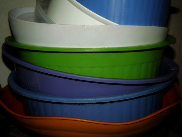 colored bowls