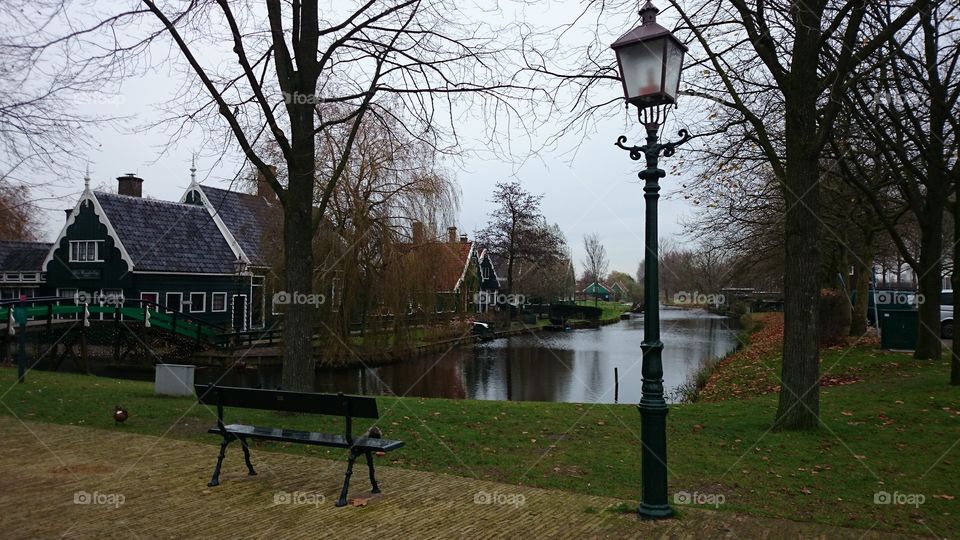 Holland Village
