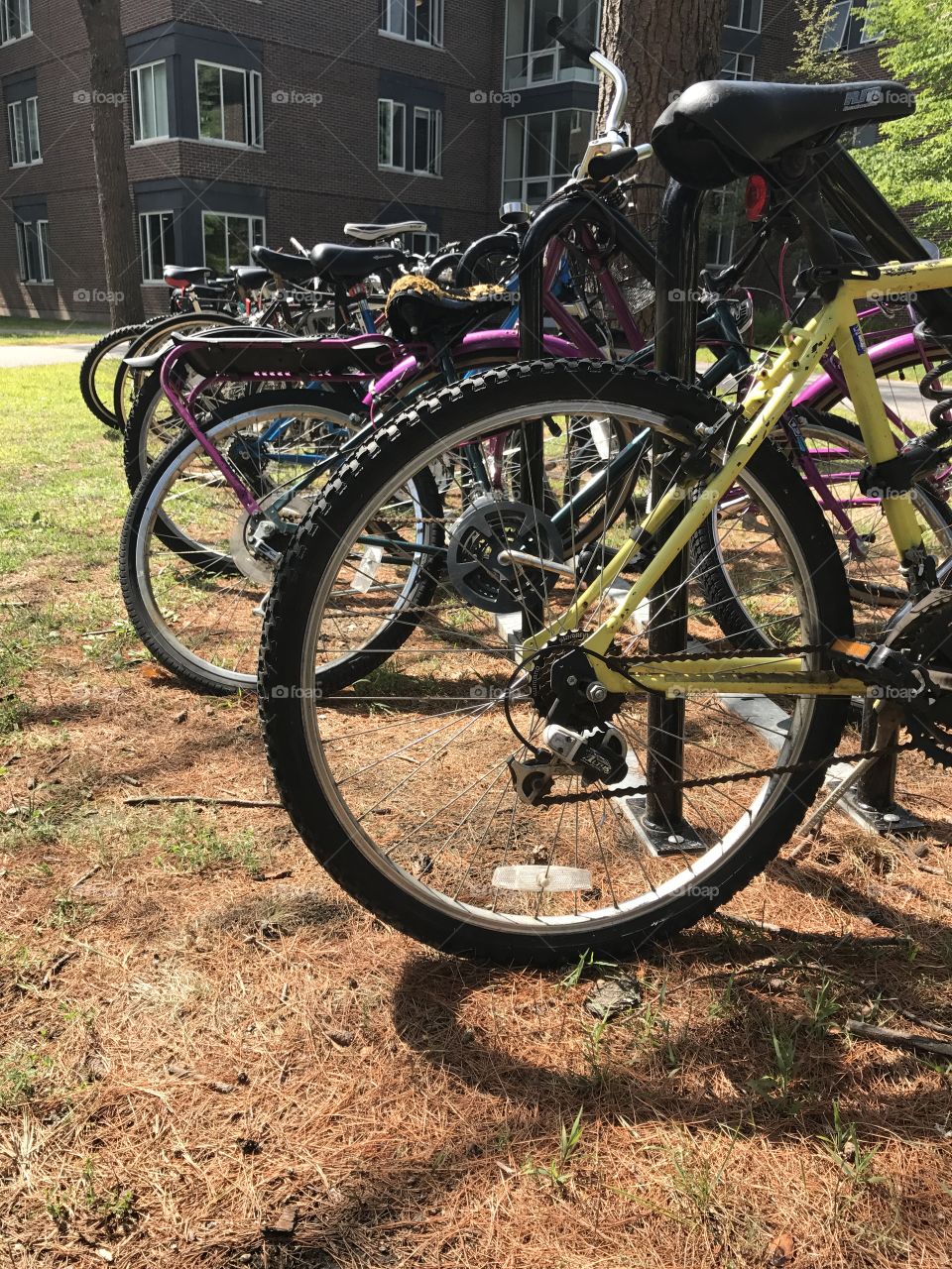 A row of bikes outside a dorm room near the end of summer in Maine. 