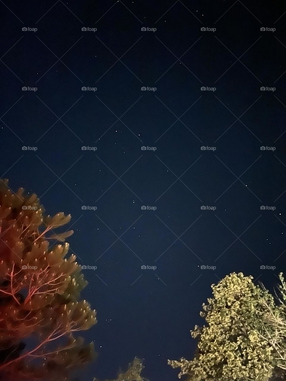 Clear night sky with bright stars 
