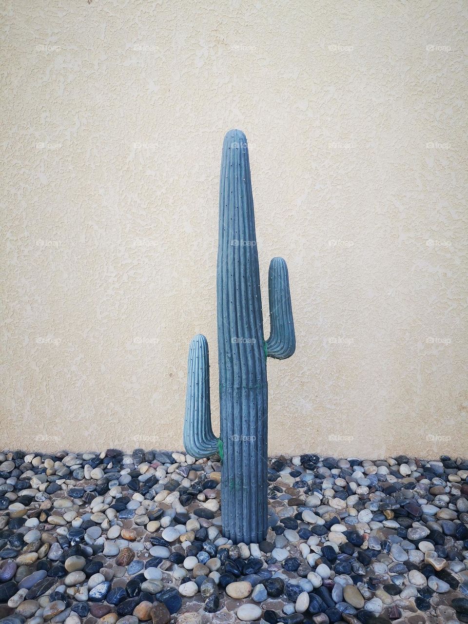 Coordination of gardens and corridors with cacti plants