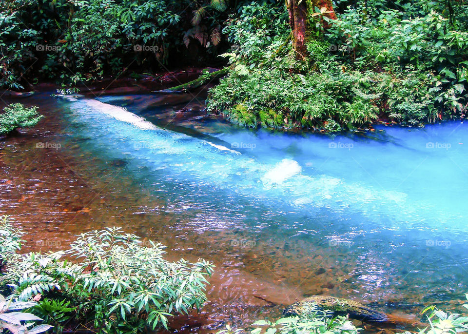The Celeste River is a river in Costa Rica, located in the canton of Guatuso in the province of Alajuela, within the Tenorio Volcano National Park, in the Arenal-Tempisque Conservation Area. It is formed by the confluence of the Buena Vista and Quebrada Agria rivers on the slopes of the Tenorio volcano. Due to its particular coloration, the result of an optical effect produced by the dispersion of sunlight due to the high concentration of aluminum silicates that its waters possess, it is an important national and international tourist destination of this Central American country.