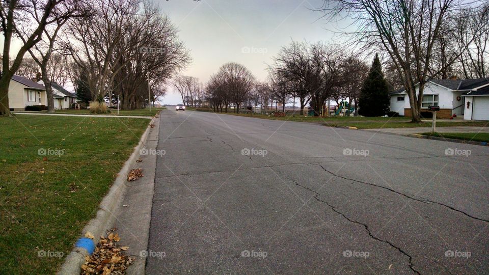 Road, Tree, Street, Landscape, Guidance