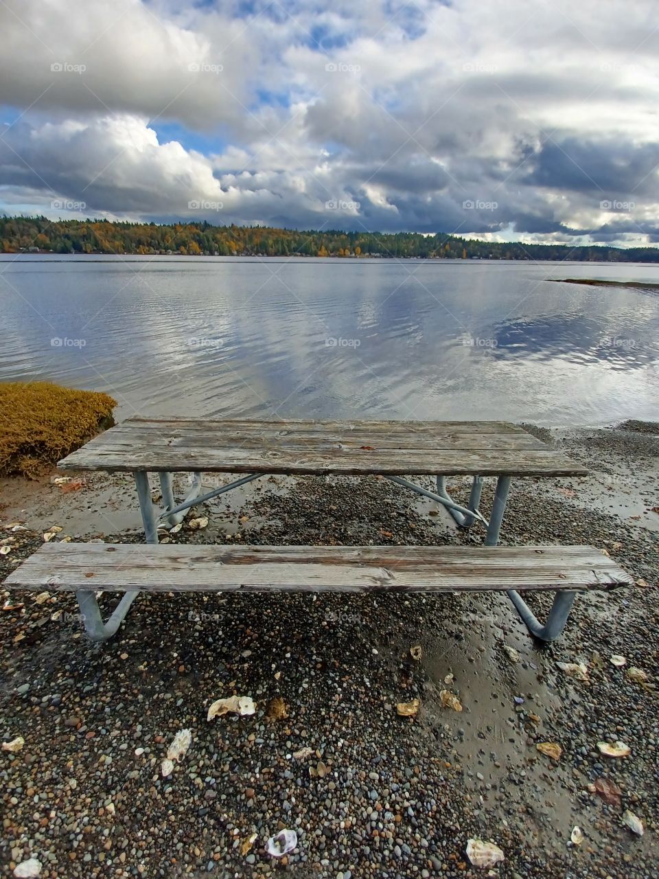 Bench and beach