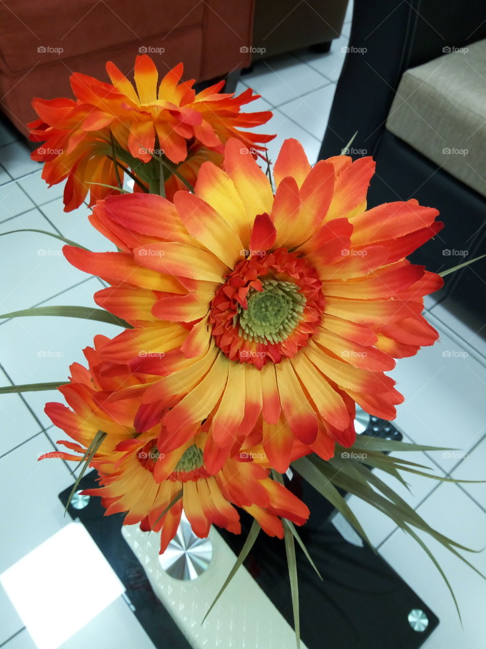 Flower, Flora, Nature, Bouquet, Floral