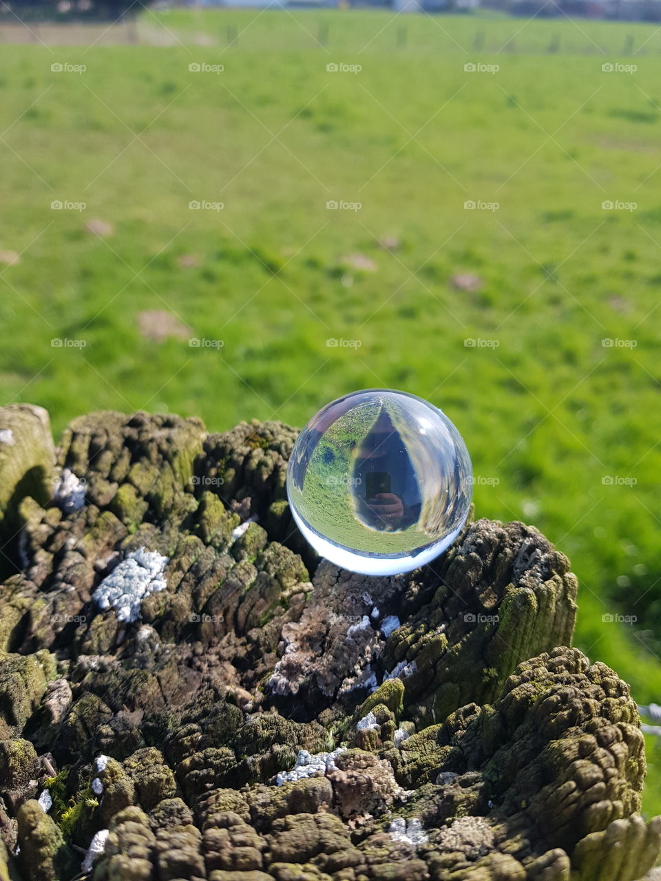 Lensball